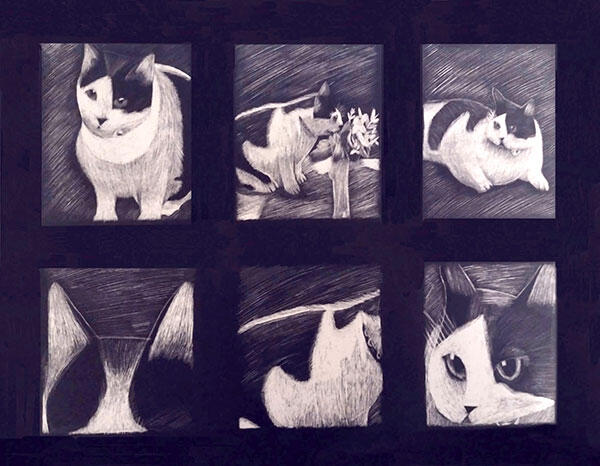 Sarah's Cat